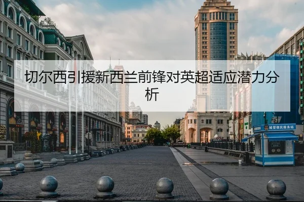 切尔西引援新西兰前锋对英超适应潜力分析 - kaiyun