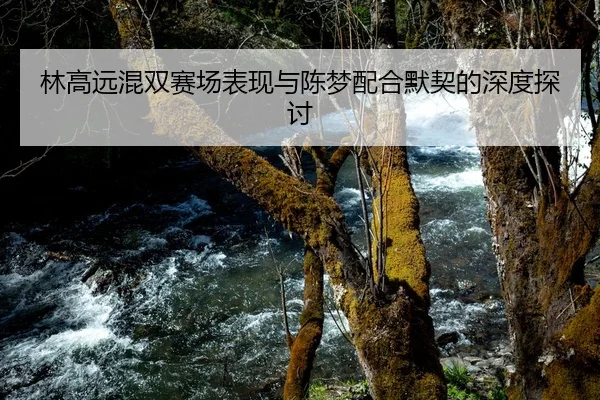 林高远混双赛场表现与陈梦配合默契的深度探讨 - kaiyun